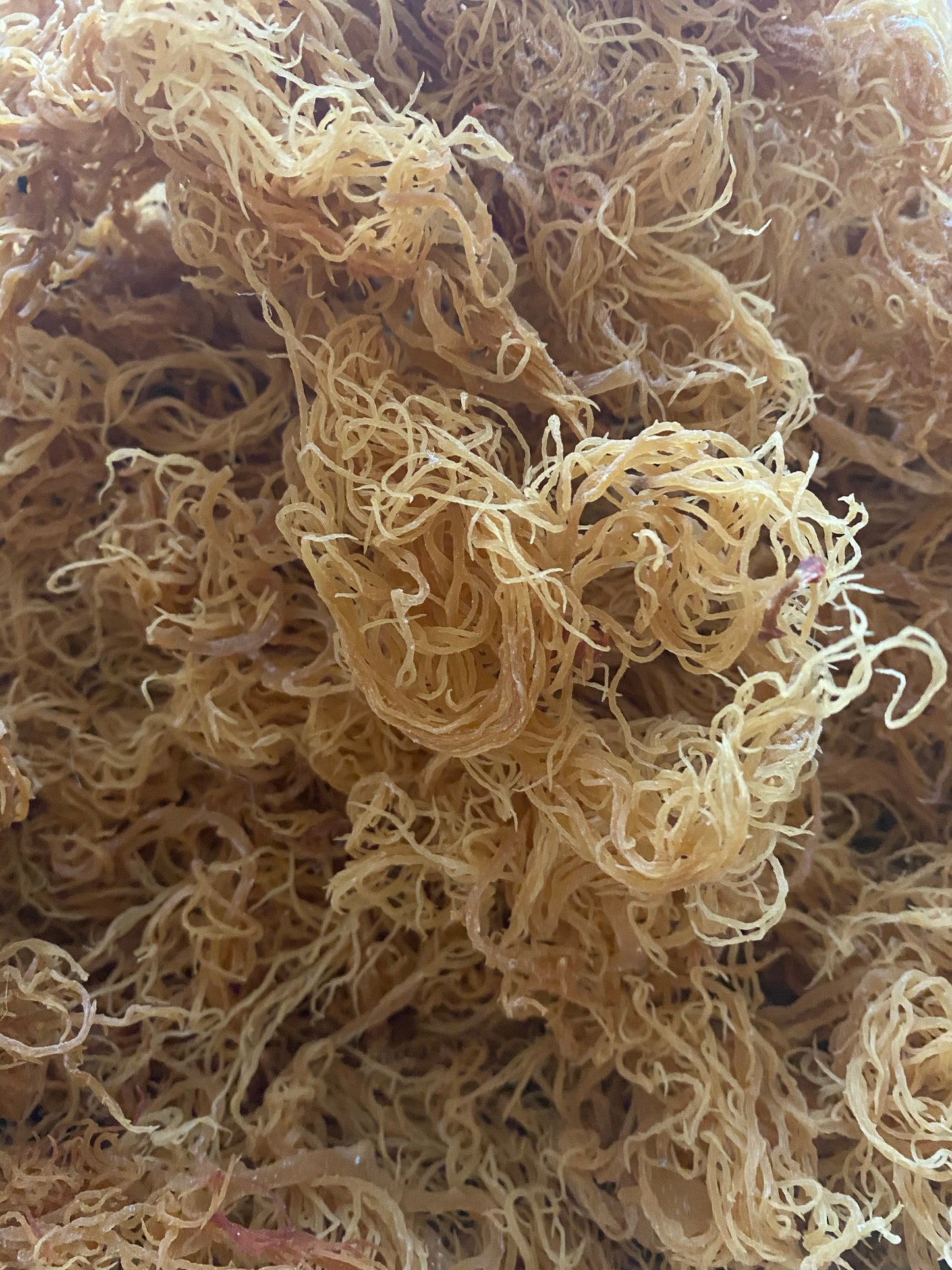Raw Sea Moss (Gold, Purple, Blue/Green)